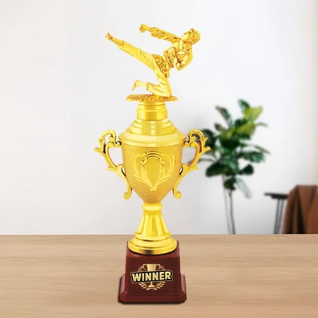 Martial Arts Golden Customized Trophy Award