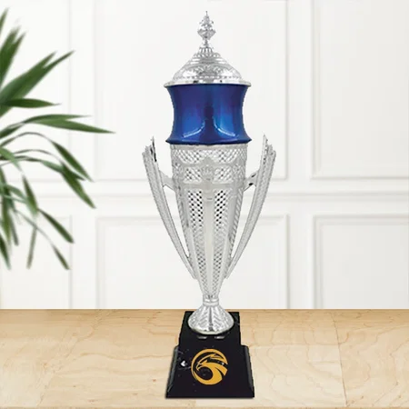 Silver Blue Royal Customized Trophy Award