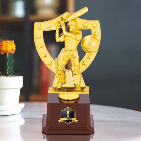 Cricketer Golden Customized Trophy Award - 20 CM