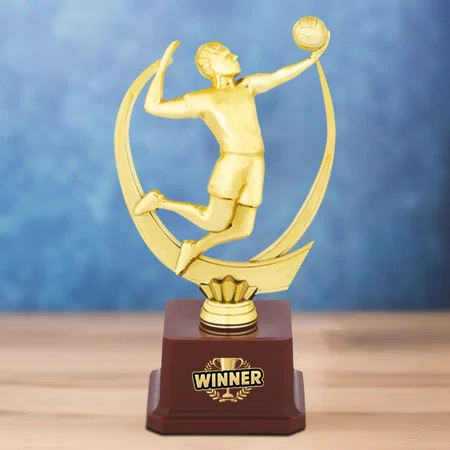 Volley Ball Player Golden Customized Trophy Award - 21 CM