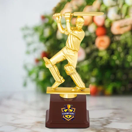 Cricketer Golden Customized Trophy Award - 21.5 CM