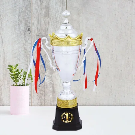 Silver & Golden Cup Customized Trophy Award
