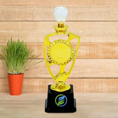 White Pearl Golden Customized Trophy Award