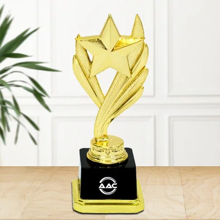 Golden Star Customized Trophy Award
