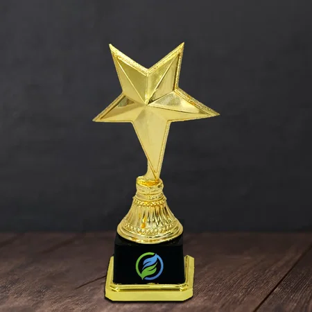Golden Star Customized Trophy Award