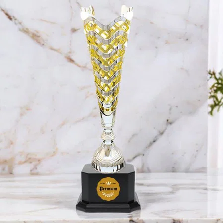 Golden & Silver Customized Trophy Award