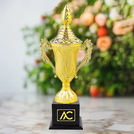 Golden Scholar Customized Trophy Award