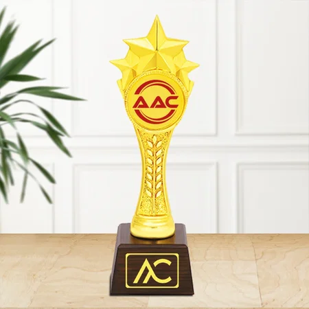 Golden Stars Customized Trophy Award - 29 CM