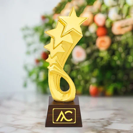 Galaxy of Stars Customized Trophy Award - 29 CM
