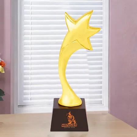 Golden Shining Star Customized Trophy Award - 25.5 CM