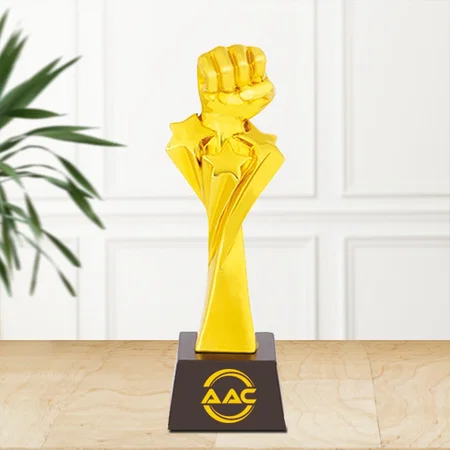 Golden Punch Boxing Customized Trophy Award - 28 CM