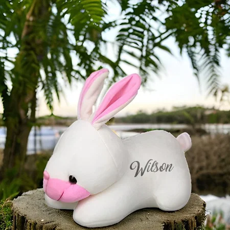 White Customized Soft Toys, Stuff Rabbit Toys Combo,Gift Items,Teddy Bear,Birthday Gift Combo Animals Toy Kids (Baby) For Playing